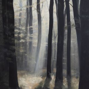 Skoven og lyset XIII