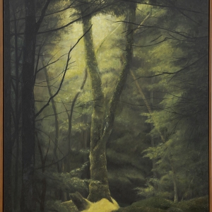 Skoven og lyset II
