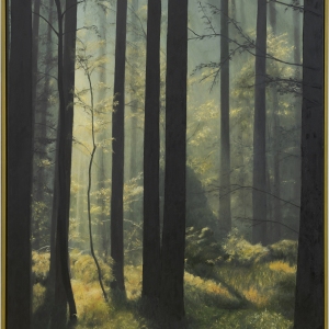 Skoven og lyset IV